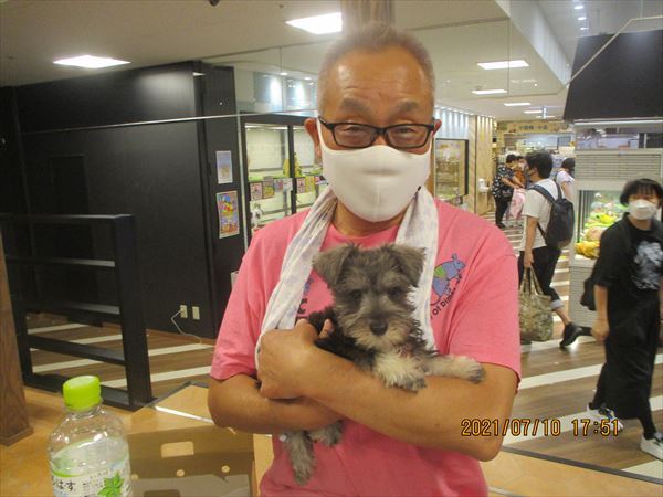写真