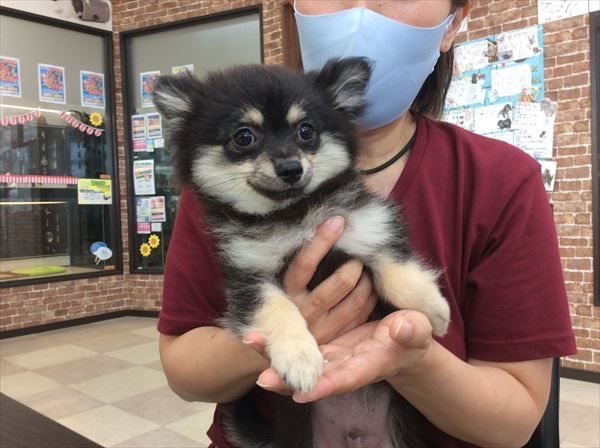 写真