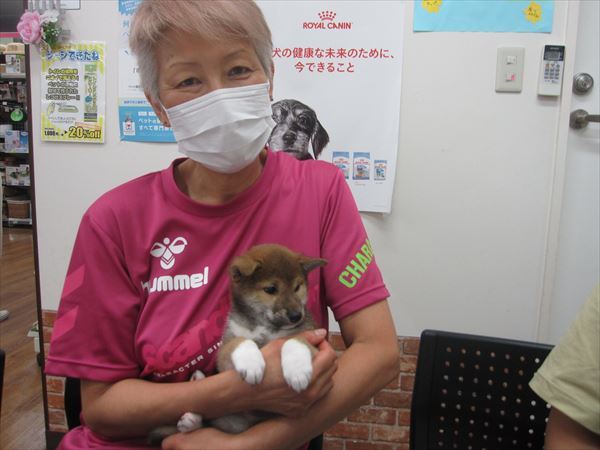 写真
