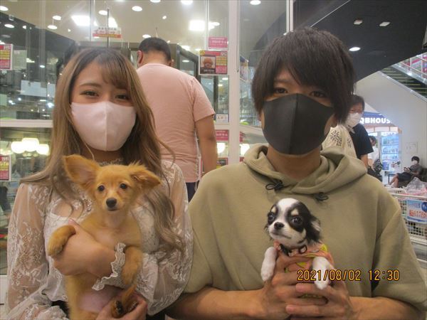 写真