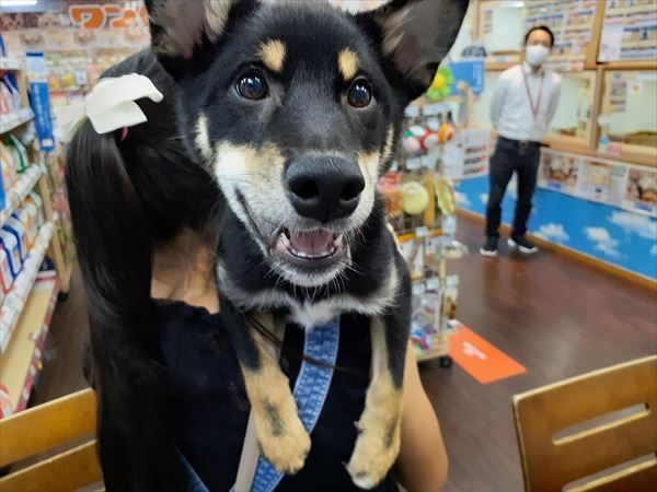 写真