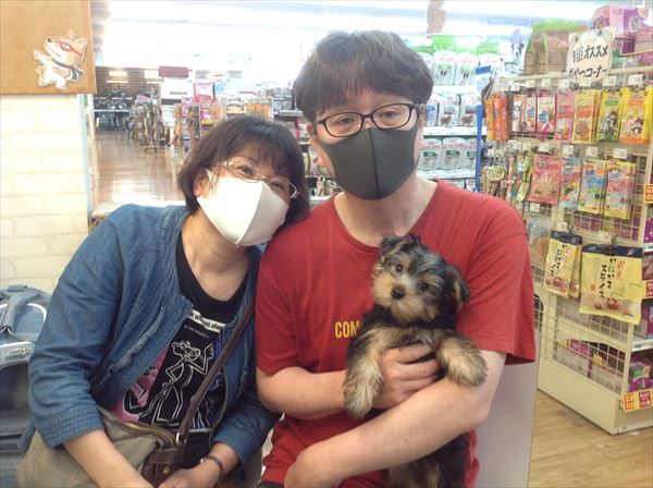 写真