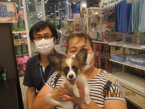 写真