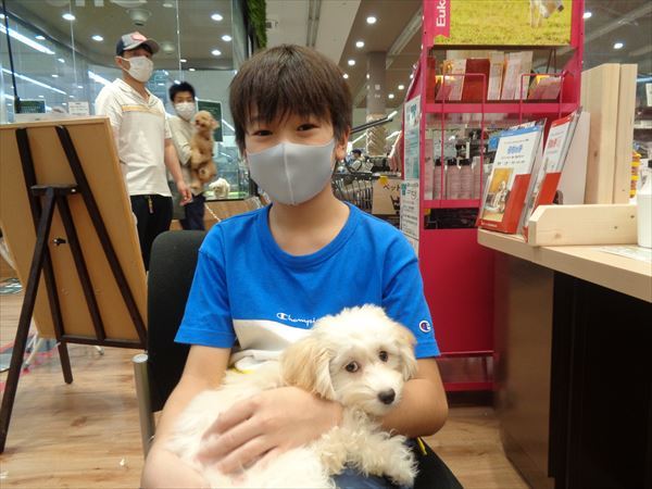 写真