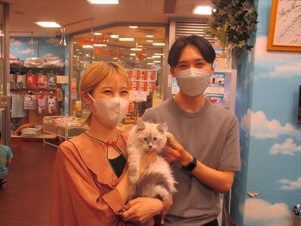 写真