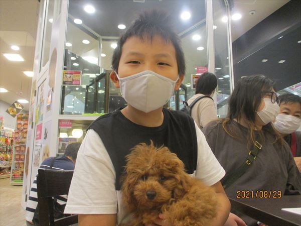 写真