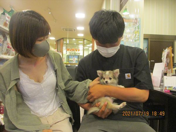 写真