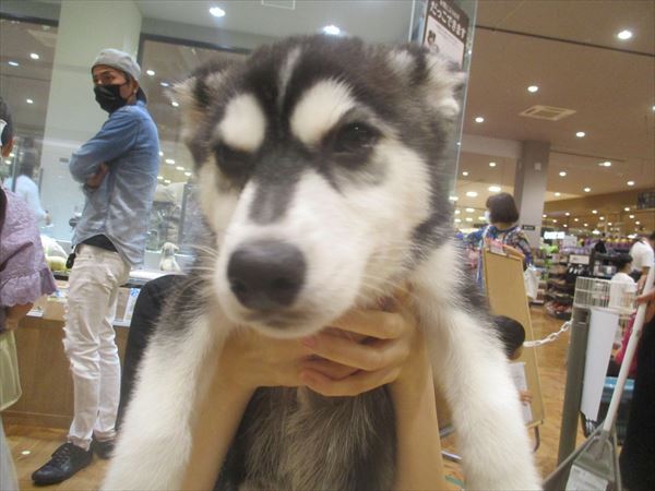 写真