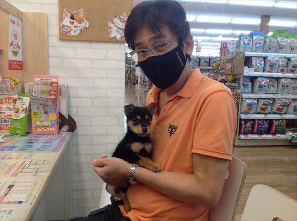 写真