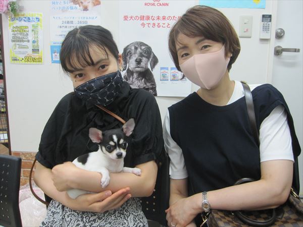 写真
