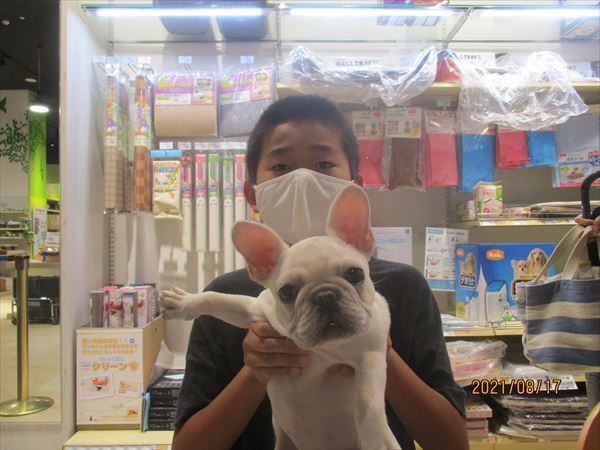 写真