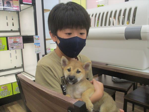 写真