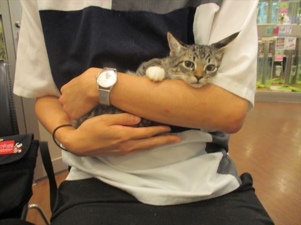 写真
