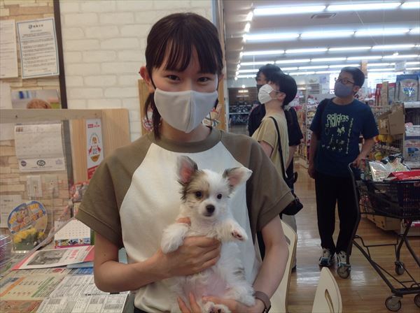 写真