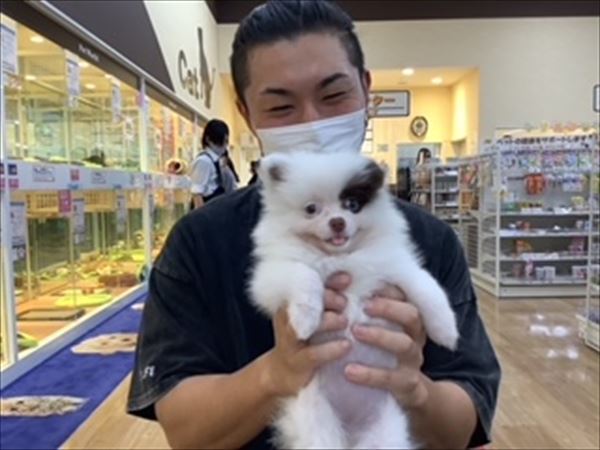 写真