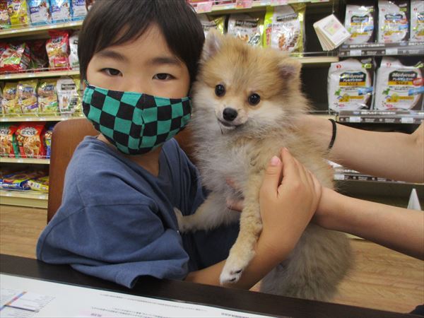 写真