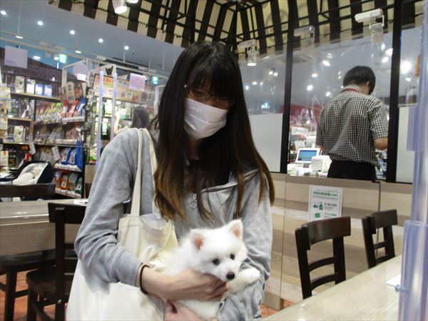 写真