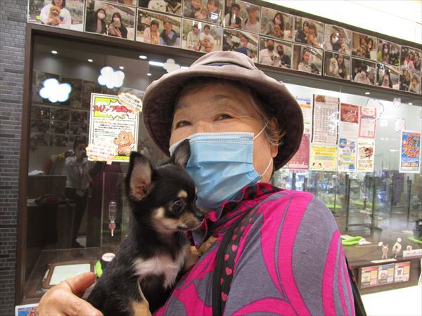写真