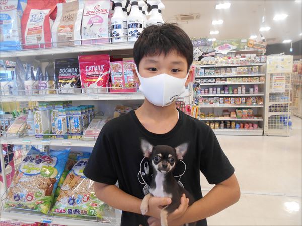写真