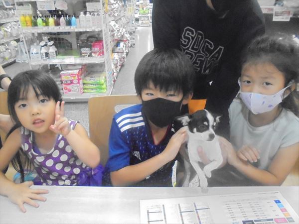 写真
