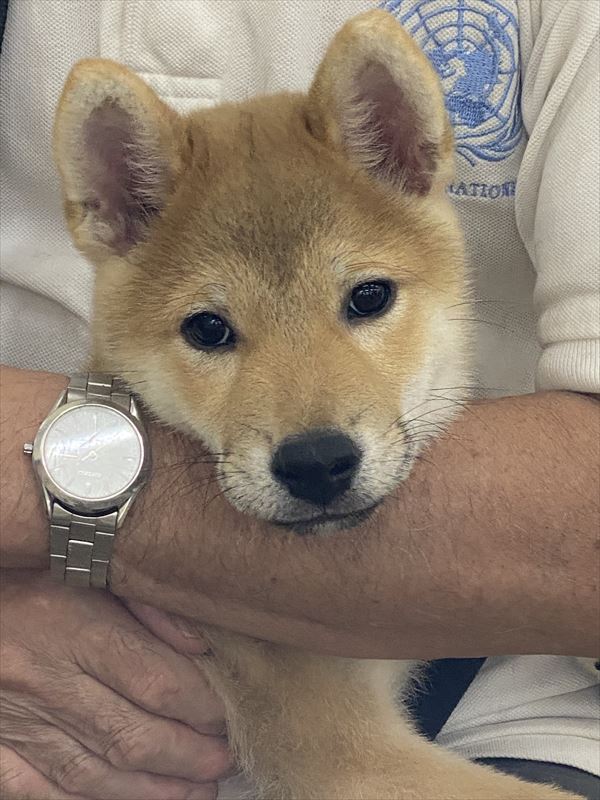 写真