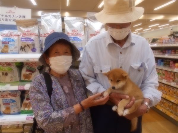 写真