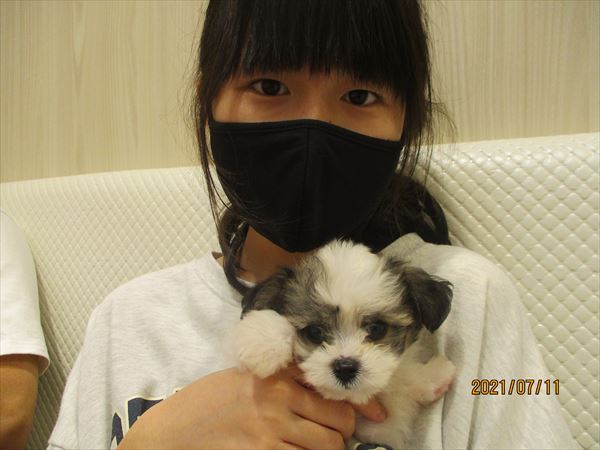 写真