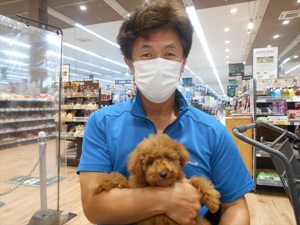 写真