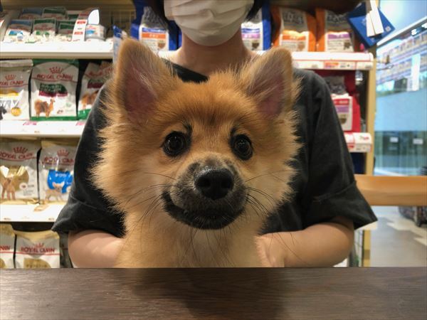 写真