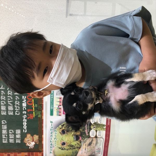 写真