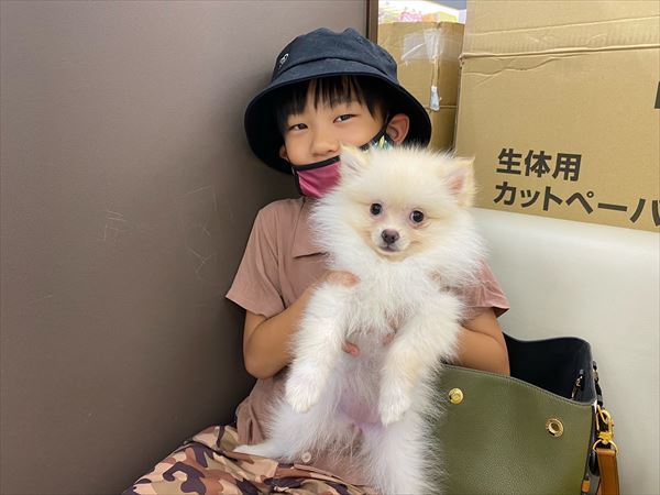 写真