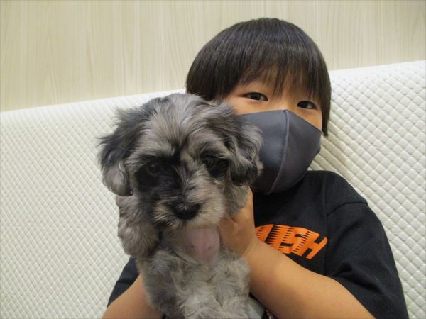 写真