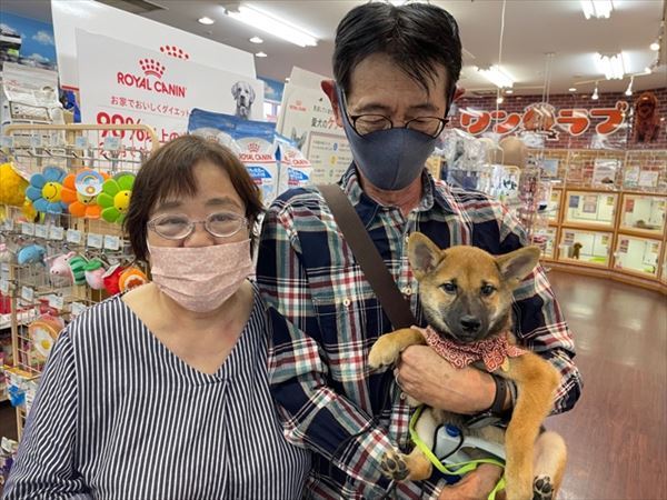 写真