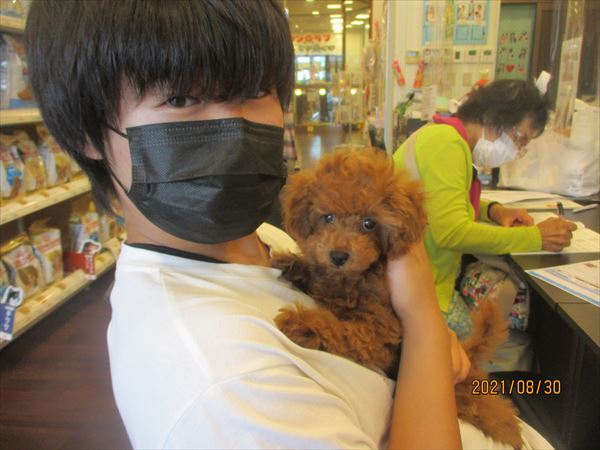 写真