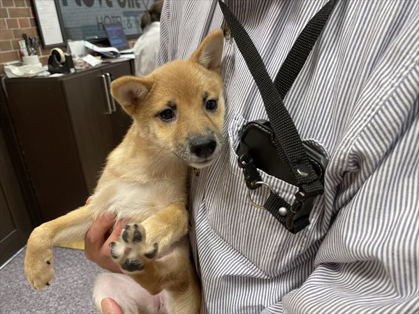 写真
