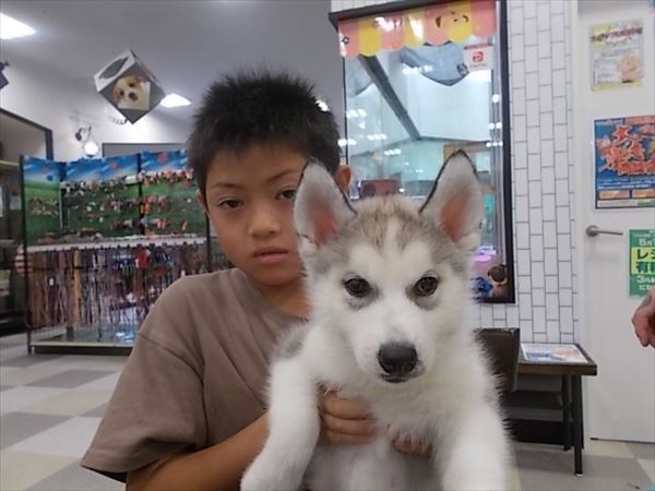 写真