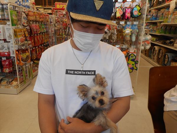 写真