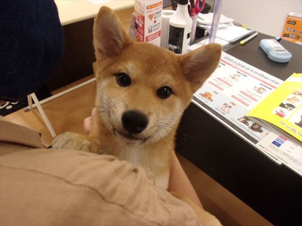 写真