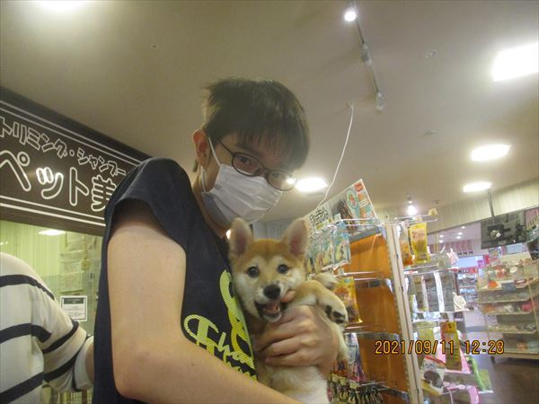 写真