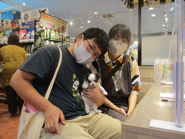 写真