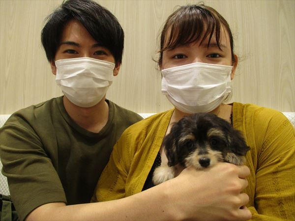 写真