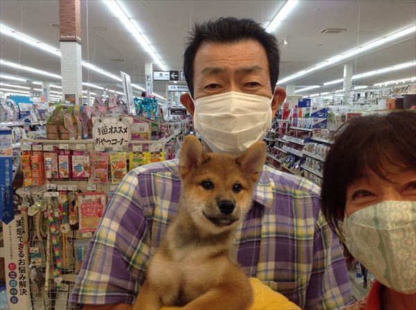 写真