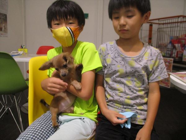 写真