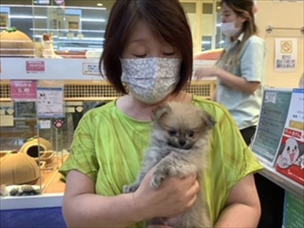 写真