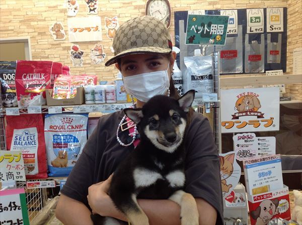写真