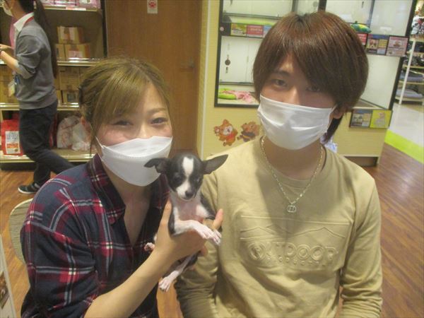 写真