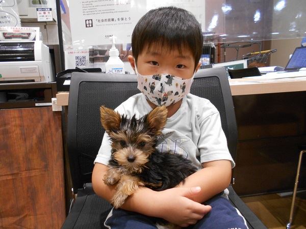 写真