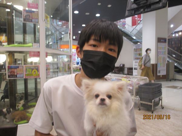 写真