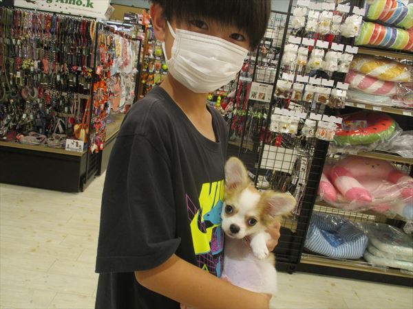 写真