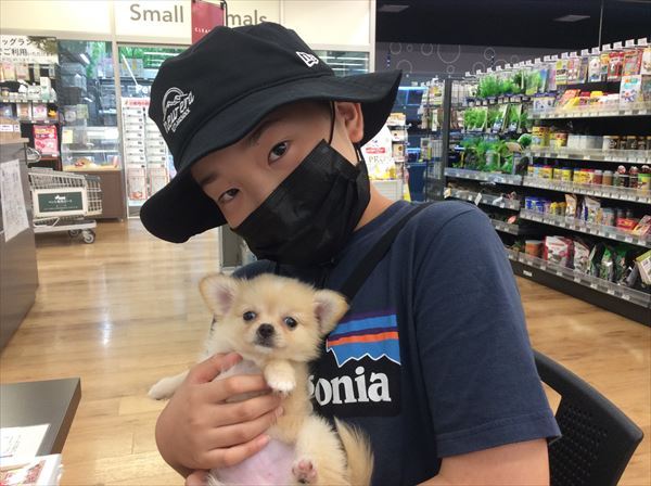 写真